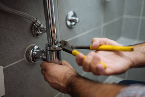 Best Septic Systems  in Blue Ridge, GA